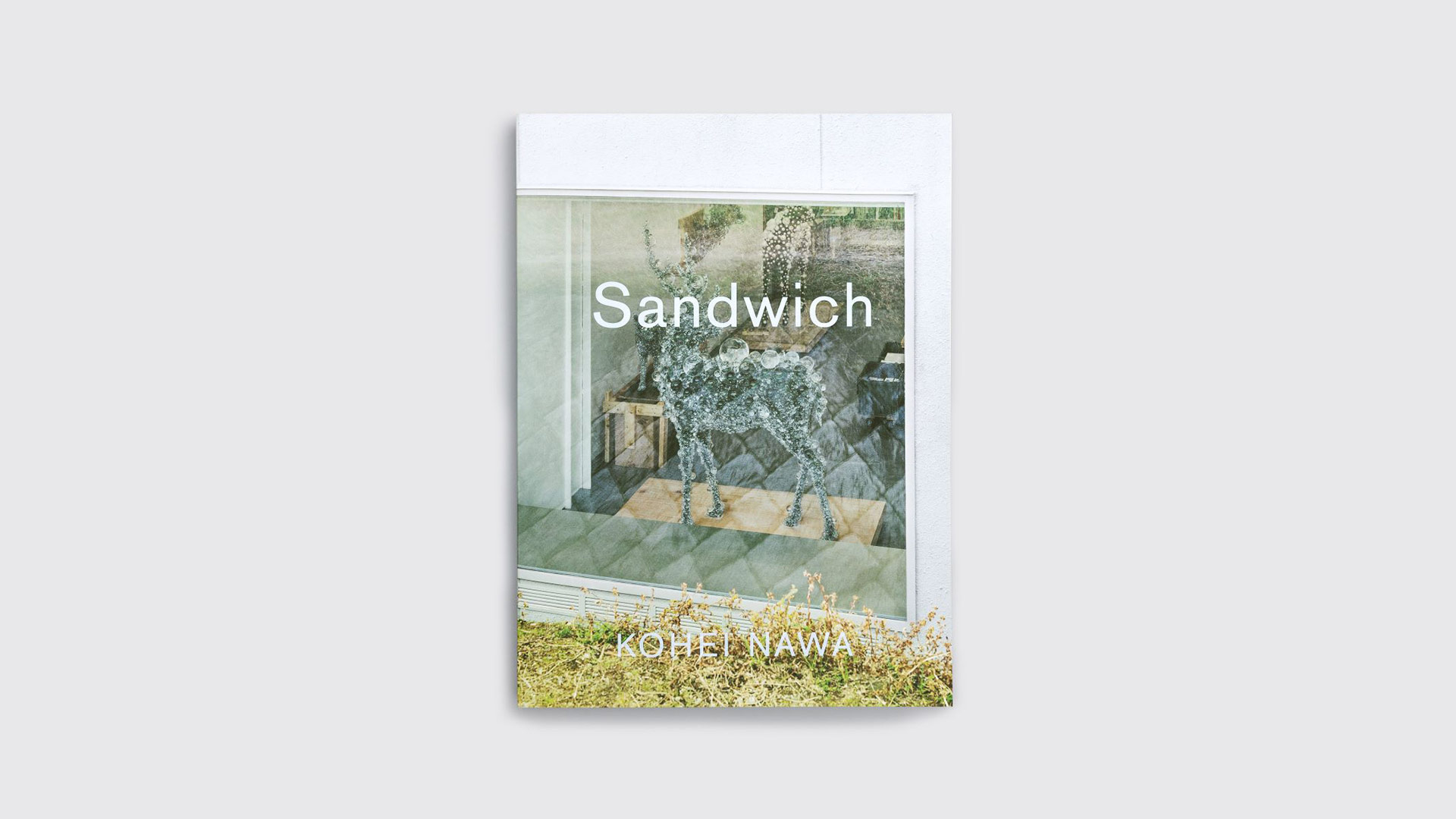 KOHEI NAWA | Sandwich「Cell Field」Kyoto Tsutaya Books
